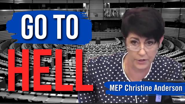 go to hell’: mep christine anderson delivers damning message to the global tyrants