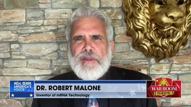dr robert malone: the government lies on covid