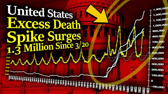 massive us death spike/ genocide: 43k+ excess us deaths per month, 1.3m excess since 2020