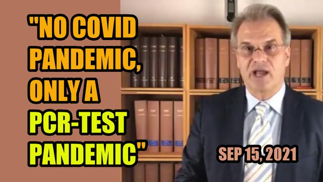 pcr test cannot detect infections (reiner fuellmich)