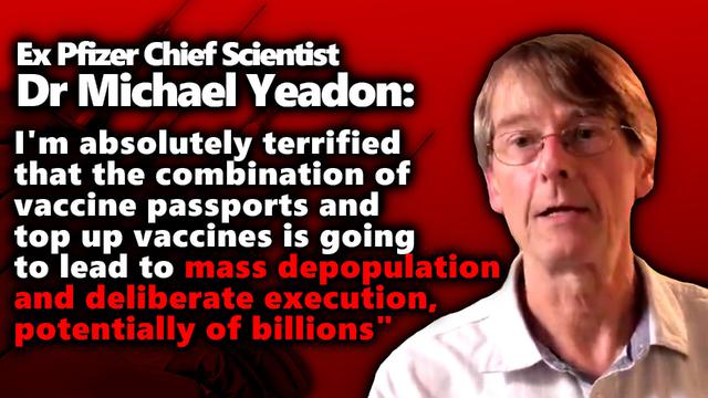 ex pfizer vp & chief scientist dr. michael yeadon: mass murder with vaccines underway
