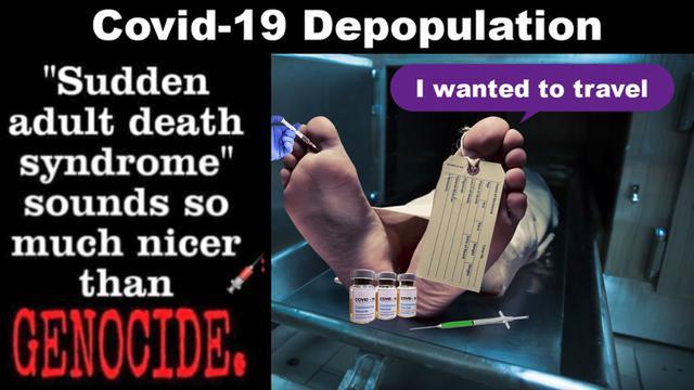 sad (sudden adult death) better known as covid-19 vaccine depopulation