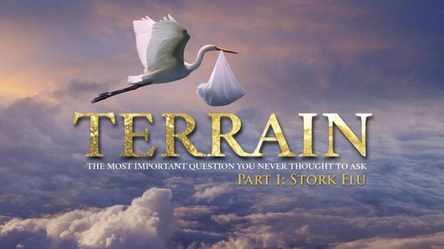 unreleased: terrain (part 1): stork flu