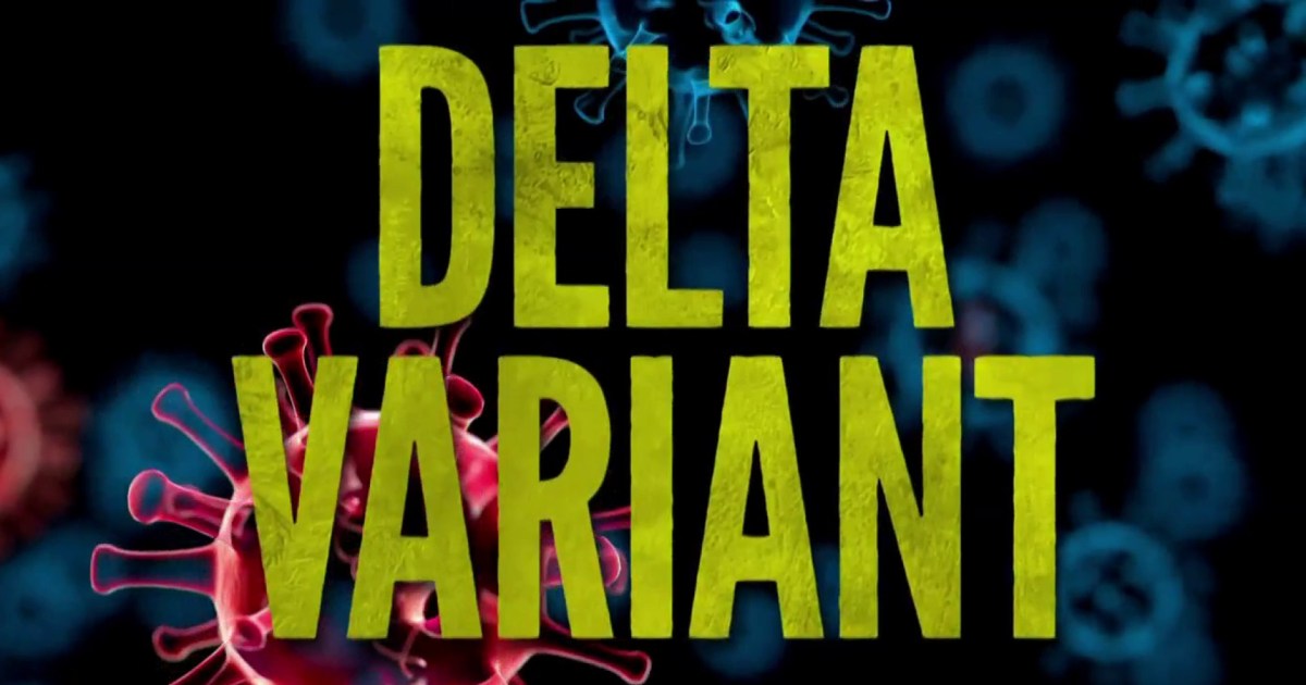 DELTA OR INDIAN VARIANT SCARIANT NONSENSE .. REAL WORLD PROOF | IVOR CUMMINS - Fringe News